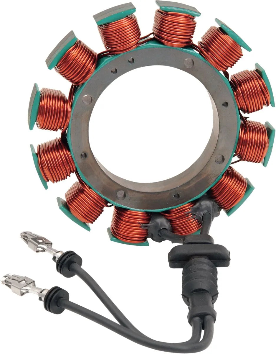 Stator von Cycle Electric Inc. – 29 Ampere