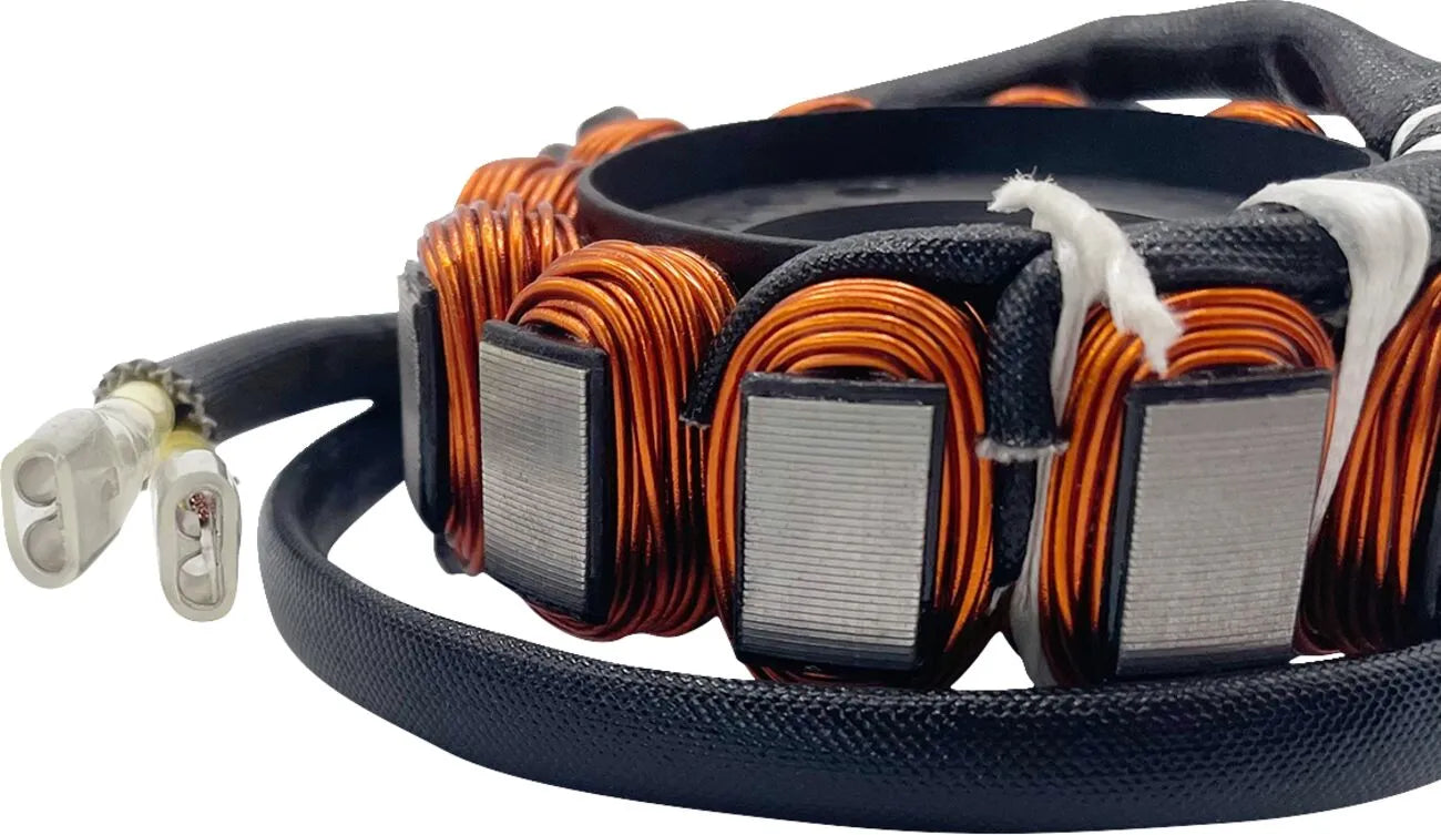 Rick's Motorsport Elektrischer Hot Shot Stator