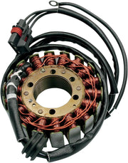 Rick's Motorsport Elektrischer Stator für Polaris