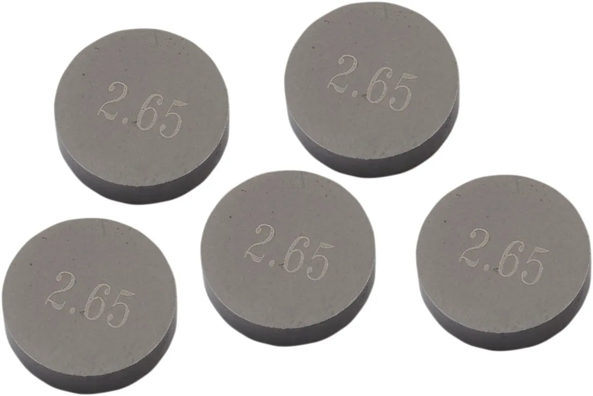 Prox 10,00 mm Ventilscheiben