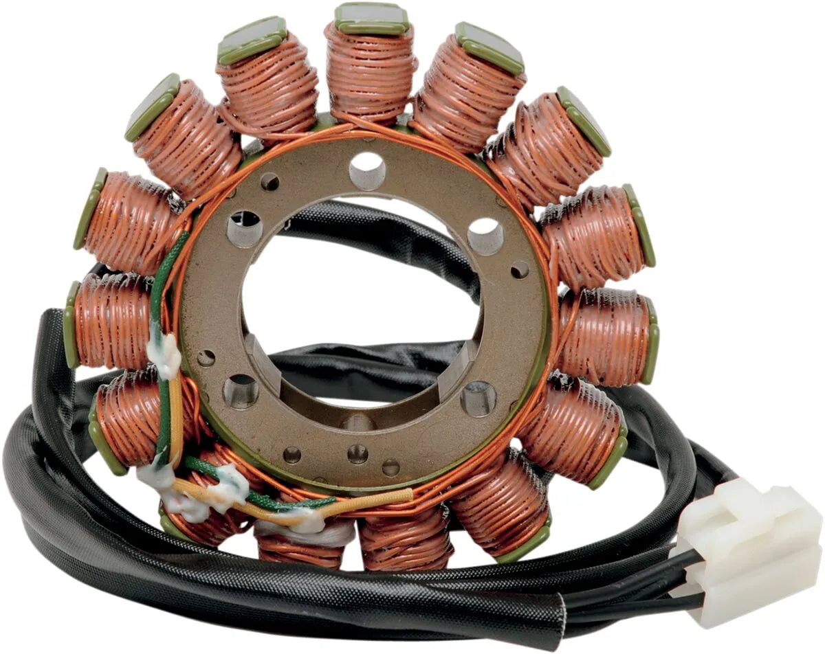 Rick's Motorsport Elektrischer Stator
