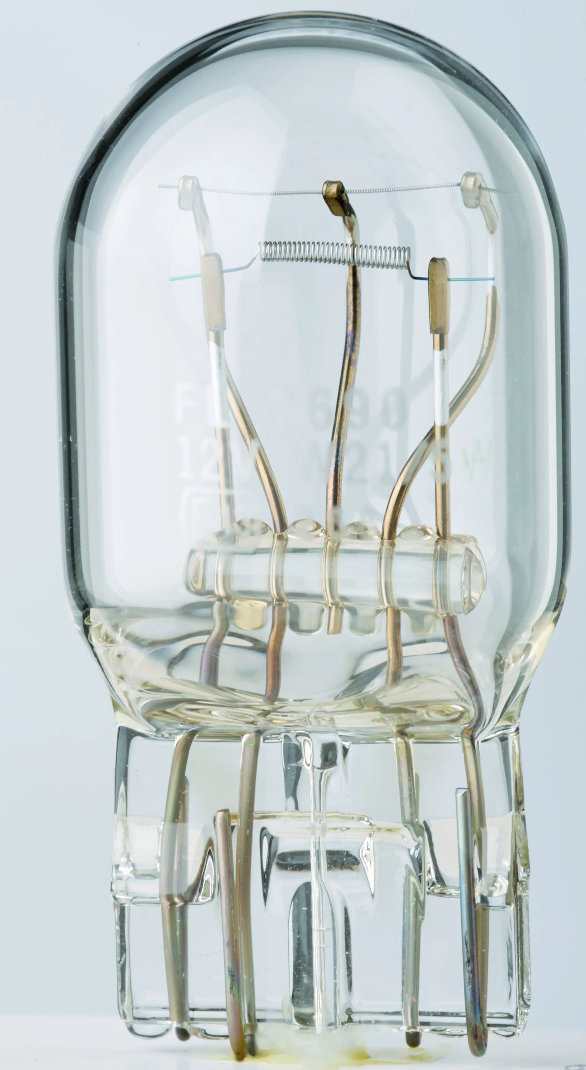 Zahnseide-Glühbirnen mit Glaskeil – 12 V