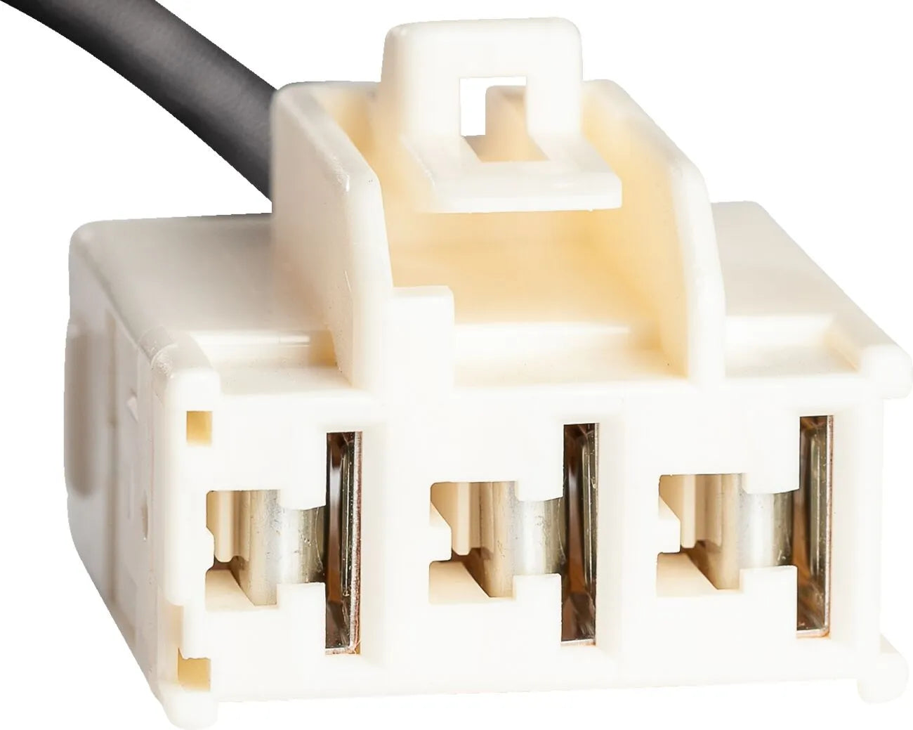 Rick's Motorsport Elektrischer Stator