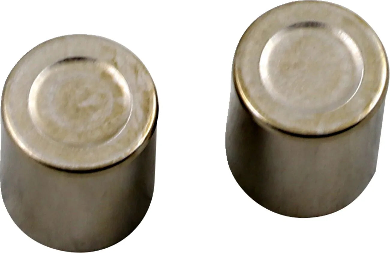 Parts Unlimited Bremskolbensatz für die Vorderachse