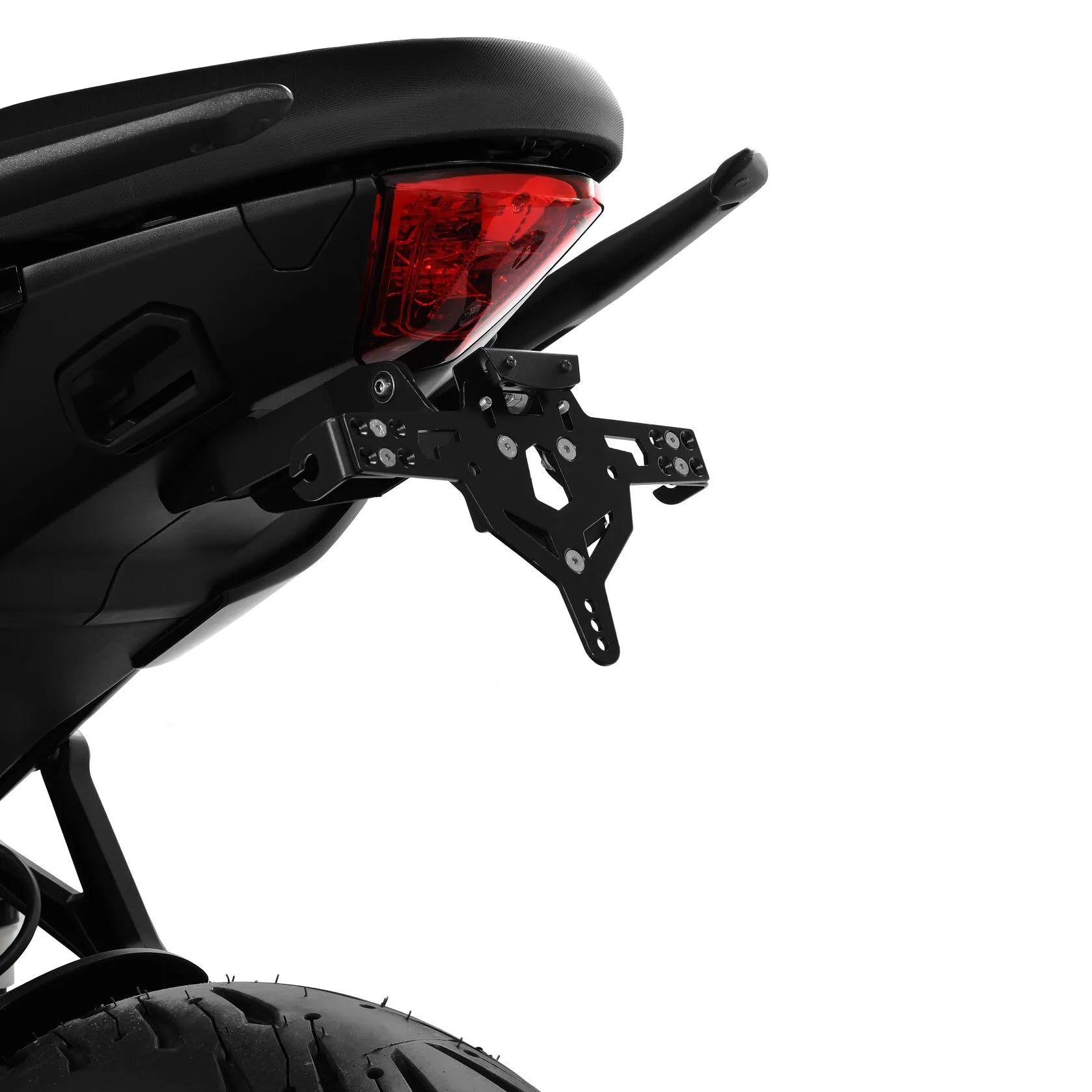 Zieger Pro Kennzeichenhalter Typ D für Triumph