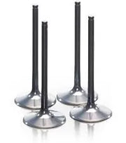 Prox Titanium Einlassventil