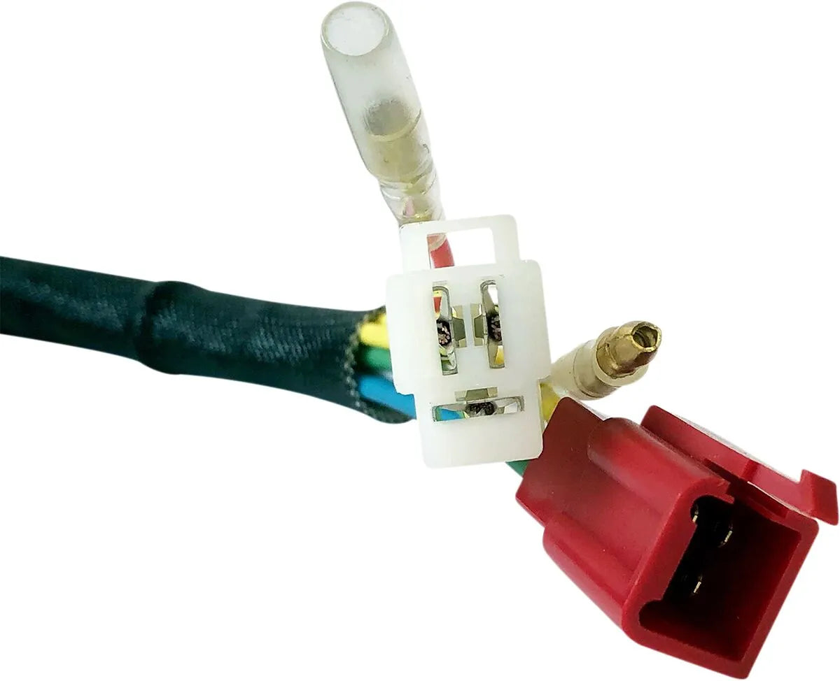 Rick's Motorsport Elektrischer Stator im OE-Stil