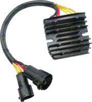 Rick's Motorsport Elektrischer Lithium-Ionen-Gleichrichterregler