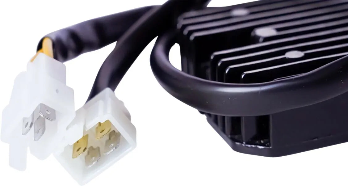 Rick's Motorsport Lithium-Ionen-Gleichrichterregler