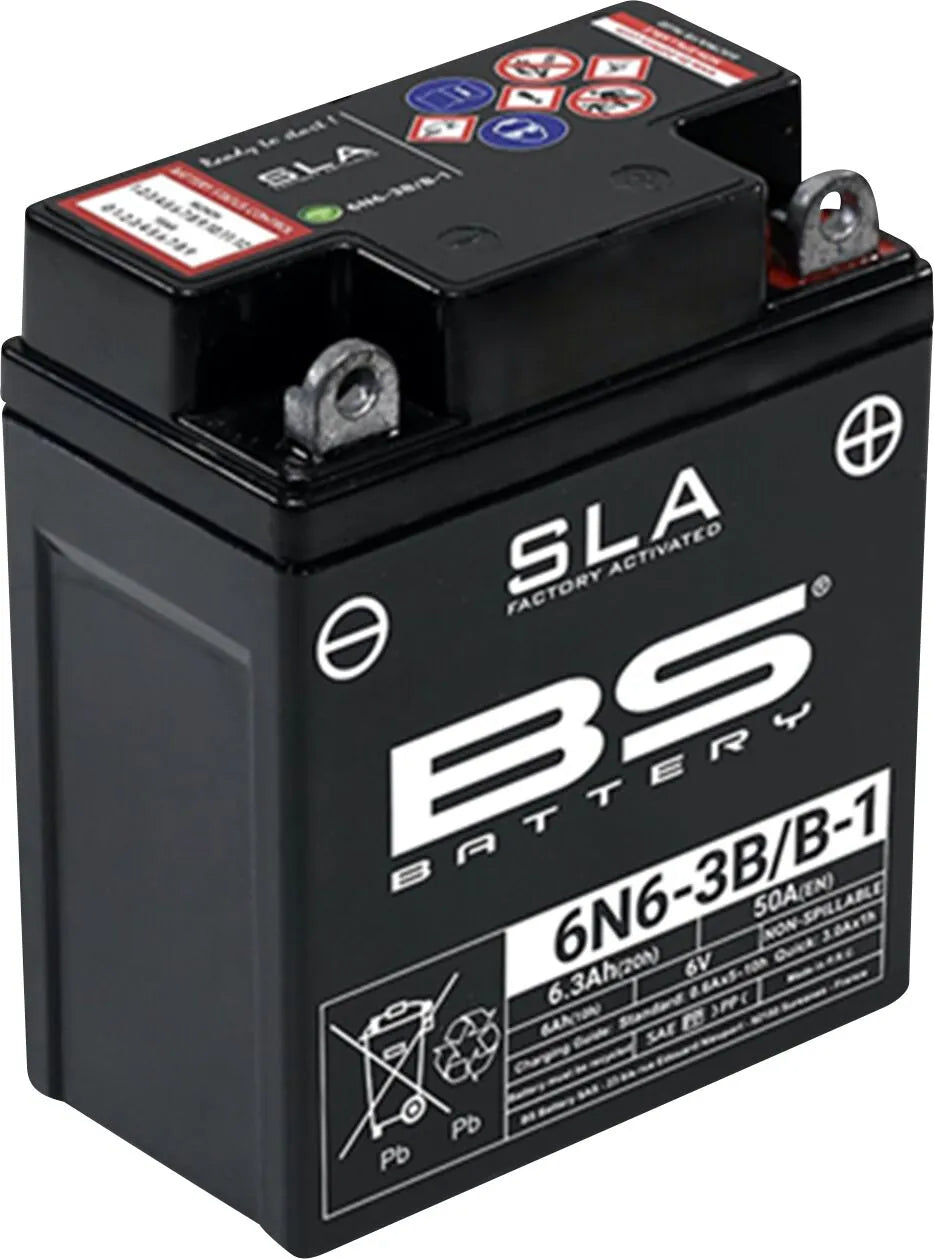 BS Battery AGM 6V 6Ah Motorradbatterie