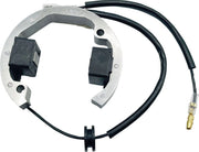 Rick's Motorsport Elektrischer Stator