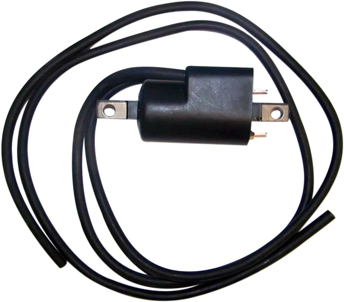 WSM-Ersatzzündspule