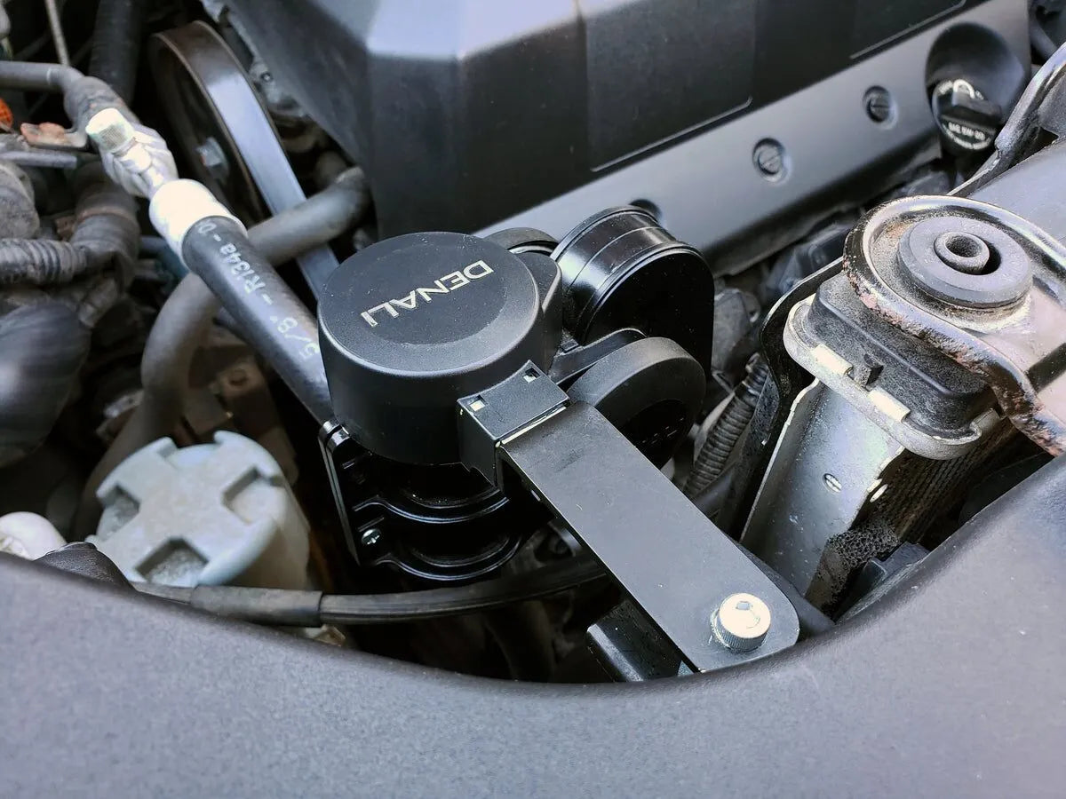 Denali Soundbomb Original Zweiklang-Lufthupe