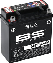 Bs Battery AGM wartungsfreie 6V Batterie