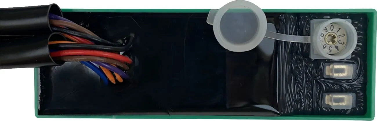 Custom Dynamics Smart Triple Play Signal Conversion Module