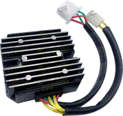 Rick's Motorsport Lithium-Ionen-Gleichrichterregler