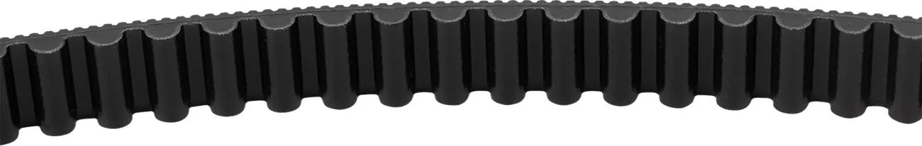 S&amp;S Cycle Antriebsriemen - X7n Carbon