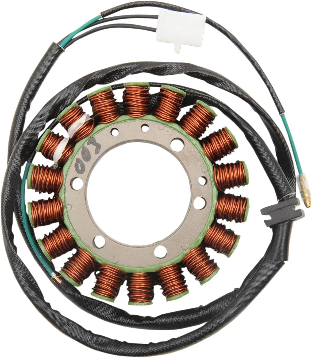 Rick's Motorsport Elektrischer Stator