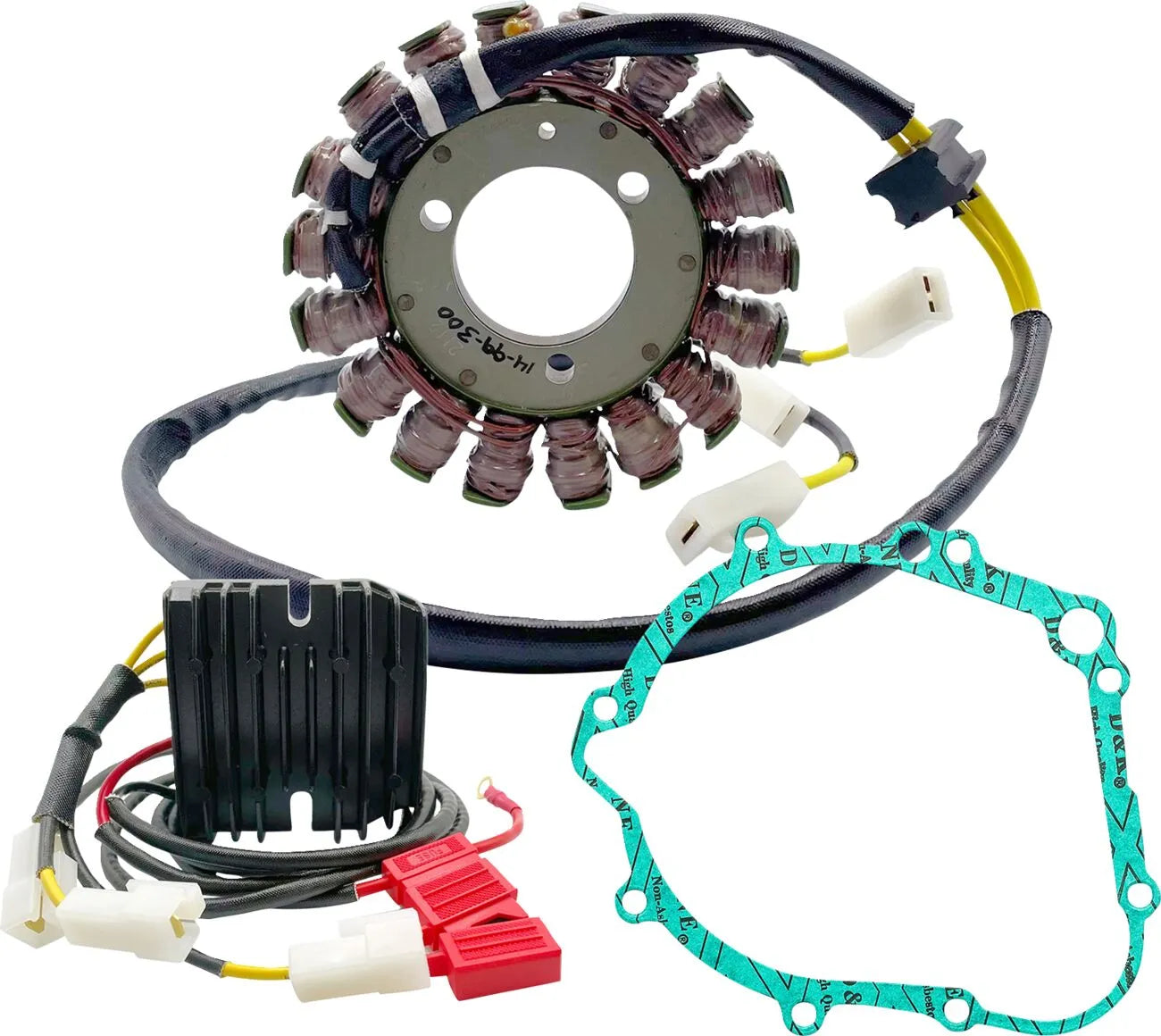 Rick's Motorsport Elektroladekit