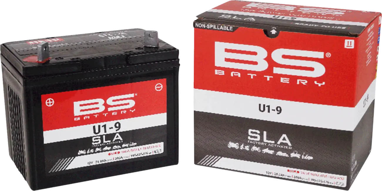 BS Batterie AGM 12V 28Ah - Wartungsfreie Batterie