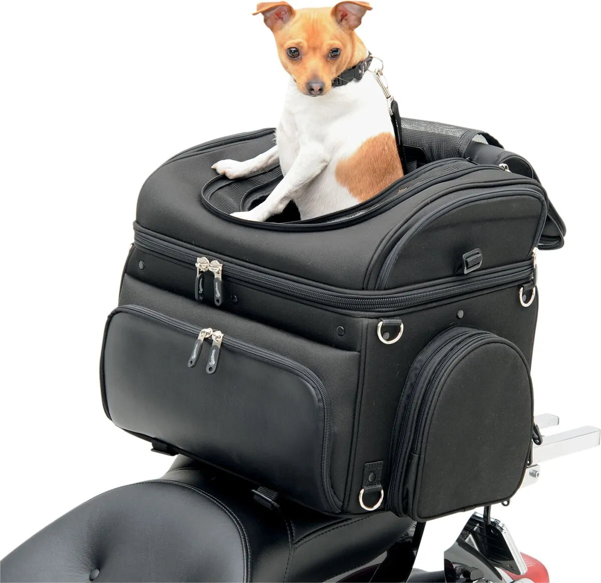 Saddlemen Pet Voyager Motorrad-Haustiertransportbox