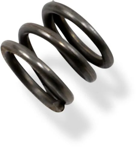 Drag Specialties Ersatz-Dämpferfedern für 41-mm-Gabeln