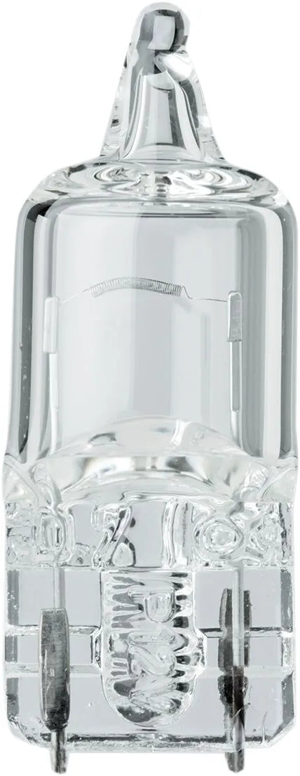 Zahnseide-Glühbirnen mit Glaskeil – 12 V, 5 W