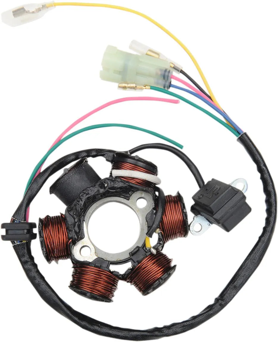 Rick's Motorsport Elektrischer Stator