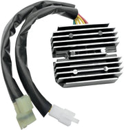 Rick's Motorsport Elektrischer Gleichrichterregler