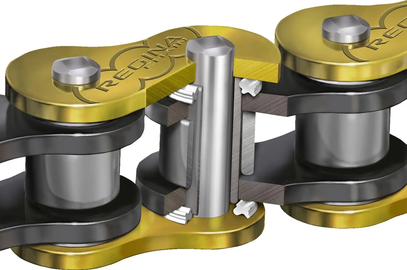 Regina 520 Zrt Kette - Gold