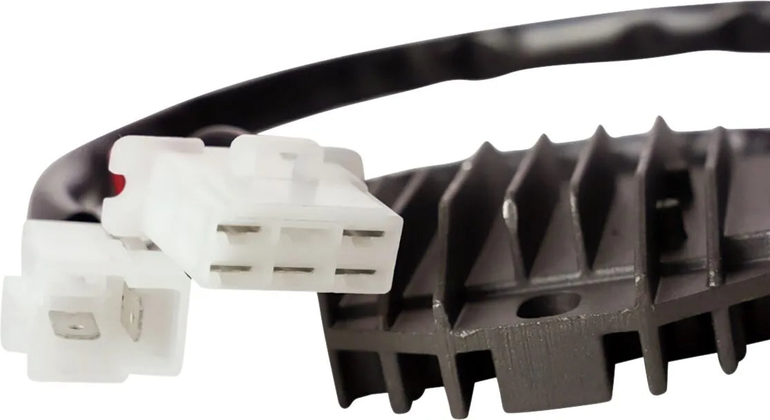 Ricks Lithium-Ionen-Gleichrichterregler 14-410