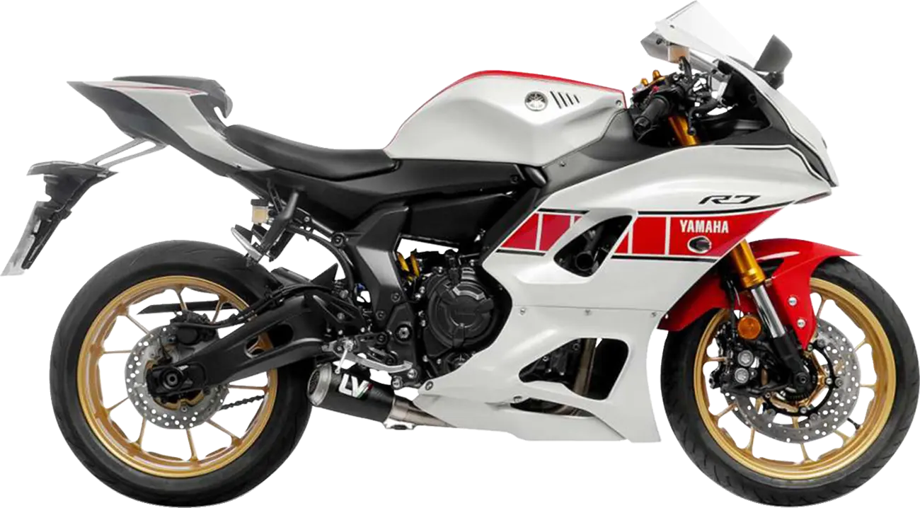 Leovince LV-10 Auspuffanlage Carbonfaser-Schalldämpfer