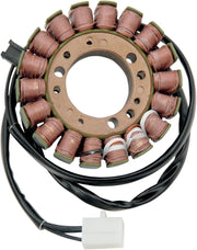 Rick's Motorsport Elektrischer Stator