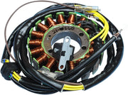 Rick's Motorsport Elektrischer Stator für Polaris