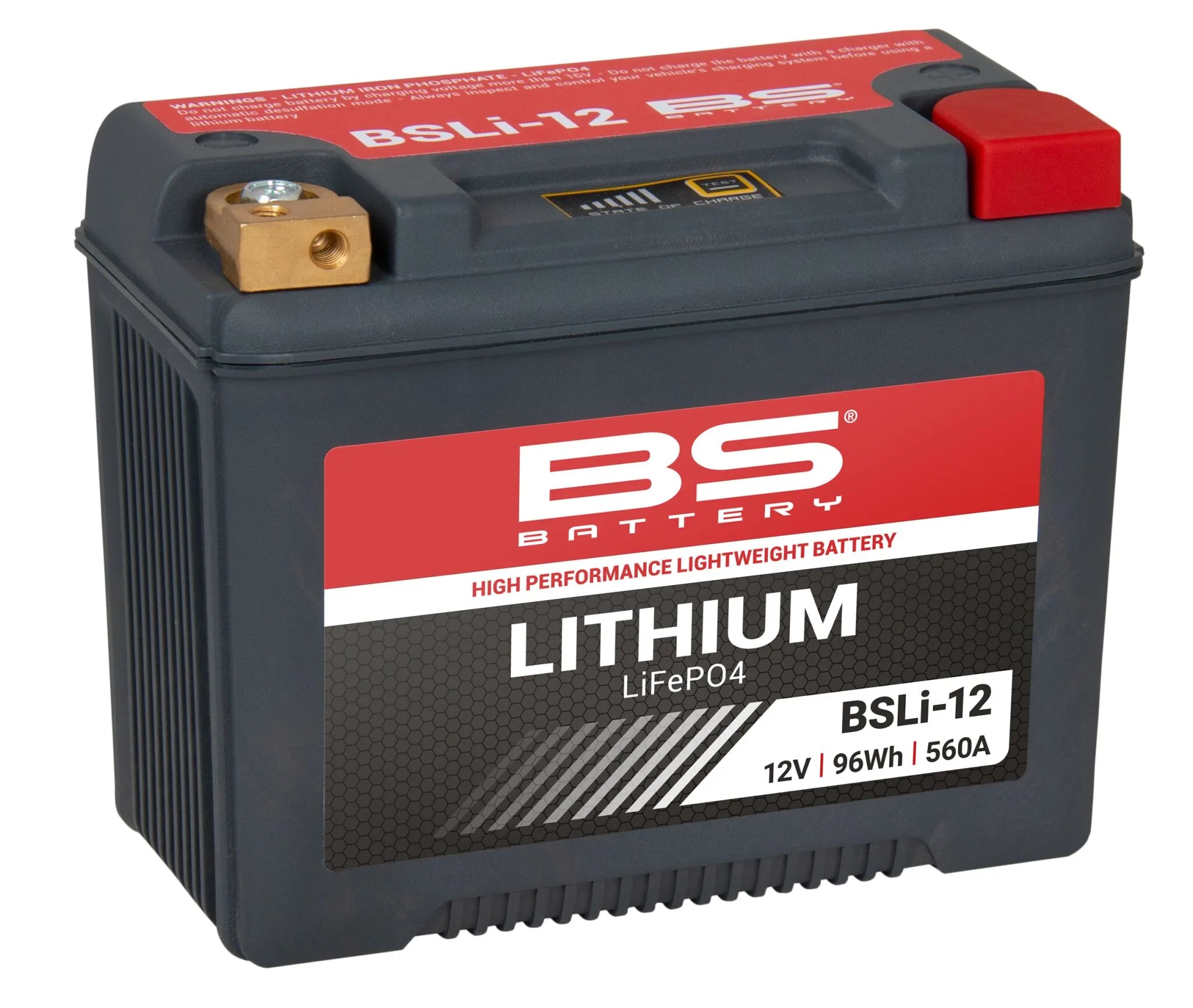 Bs Battery Lithium LiFePO4 Motorradbatterie