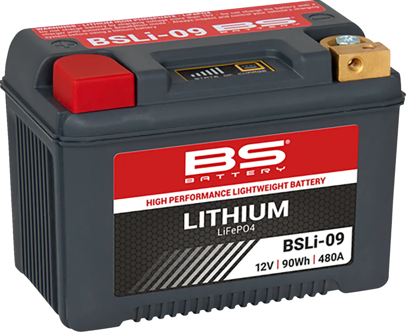 BS-Batterie Lithium LiFePO4-Akku 7,5 Ah