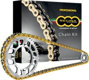 Regina 520 Zrt Ketten- und Ritzelsatz