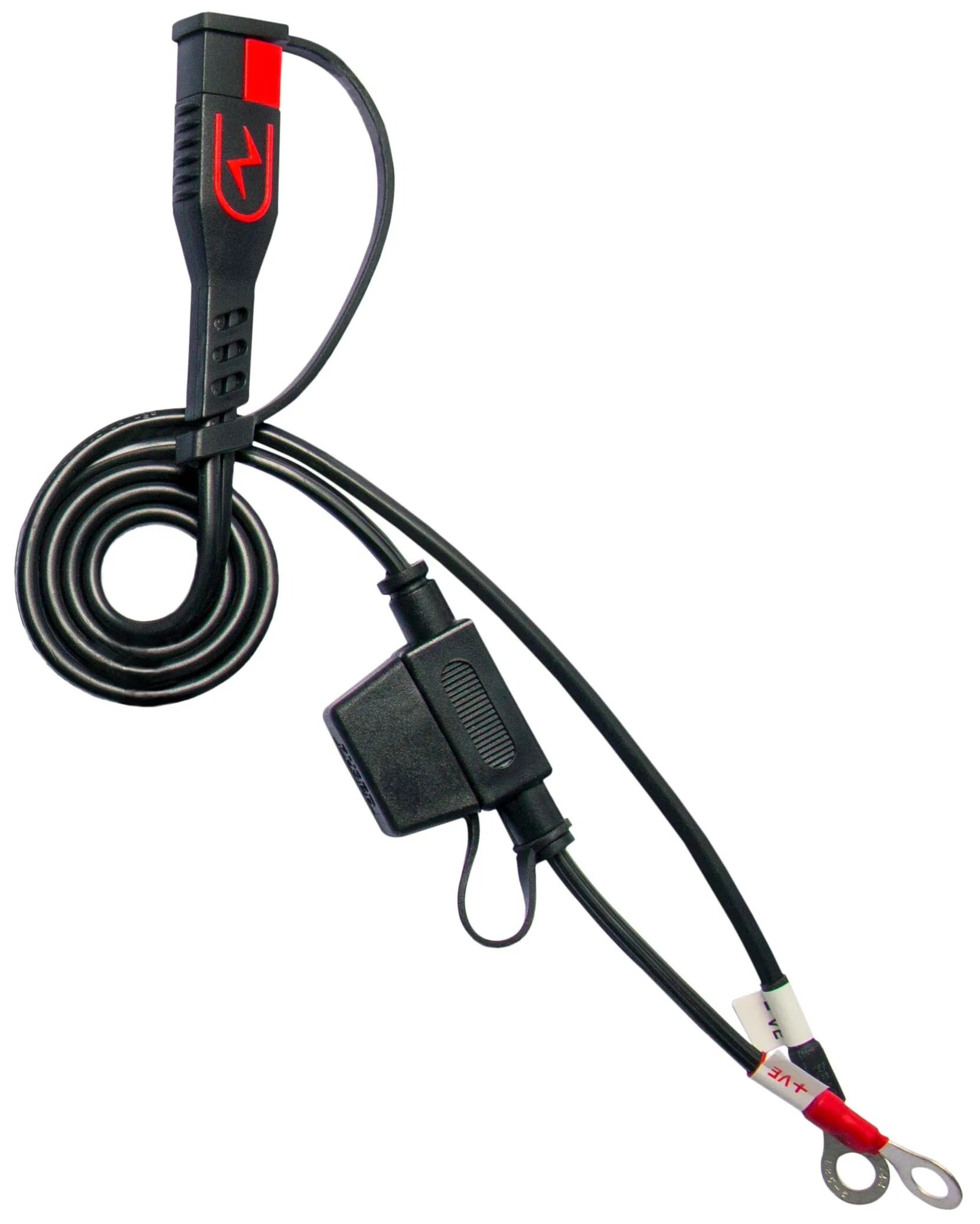 Bs Batterie-Smart-Ladegerät und -Erhaltungsgerät