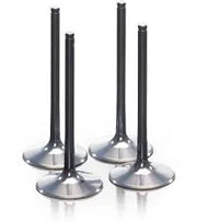 Prox Titan-Auslassventil