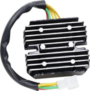 Rick's Motorsport Elektrischer Lithium-Ionen-Gleichrichterregler