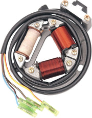 Rick's Motorsport Elektrischer Stator für Suzuki