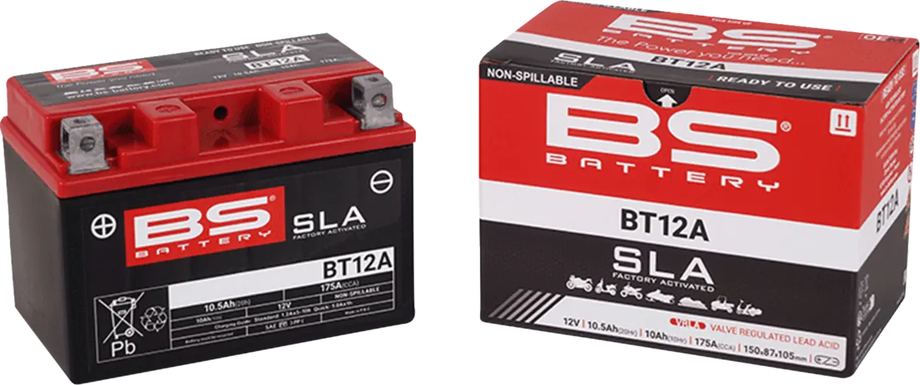 BS Batterie AGM 12V 10Ah - Wartungsfreie Batterie