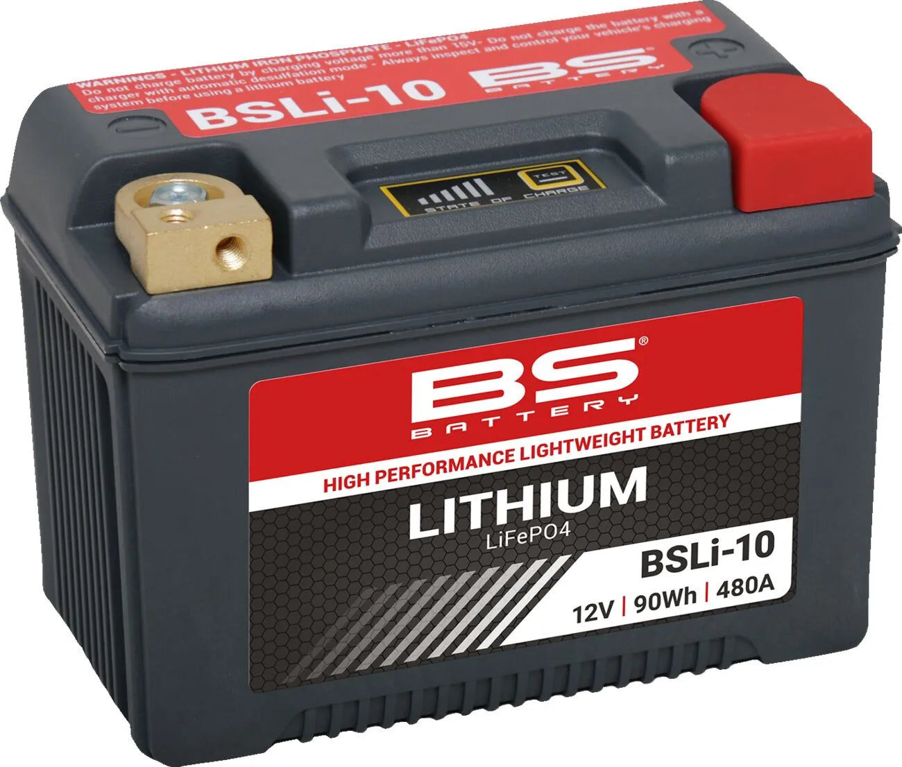BS-Batterie Lithium LiFePO4-Batterie 7,5 Ah