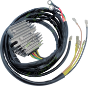 Rick's Motorsport Elektrischer Gleichrichterregler