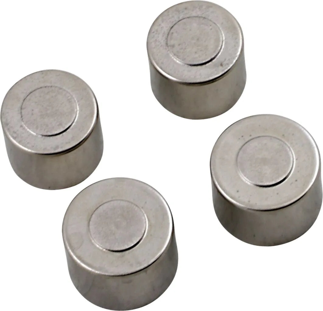 Parts Unlimited Bremskolbensatz für die Vorderachse