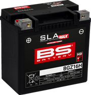 BS Batterie Sla AGM Batterie - 12V 16Ah