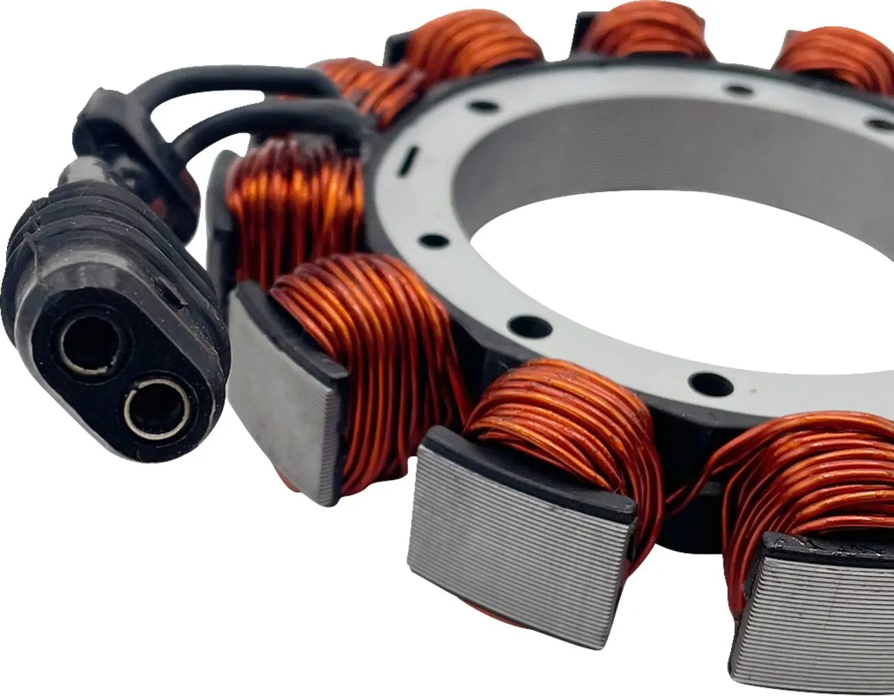 Rick's Motorsport Elektrischer Stator