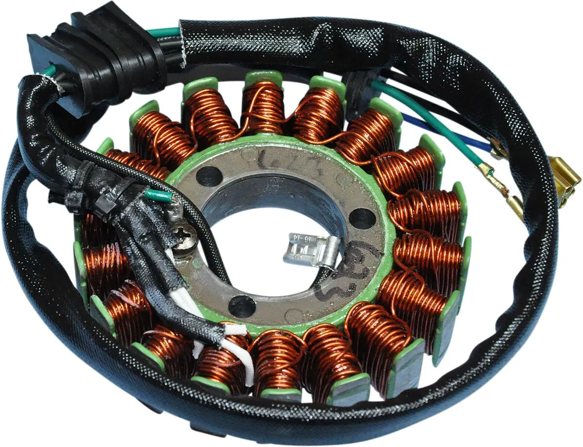 Rick's Motorsport Elektrischer Stator