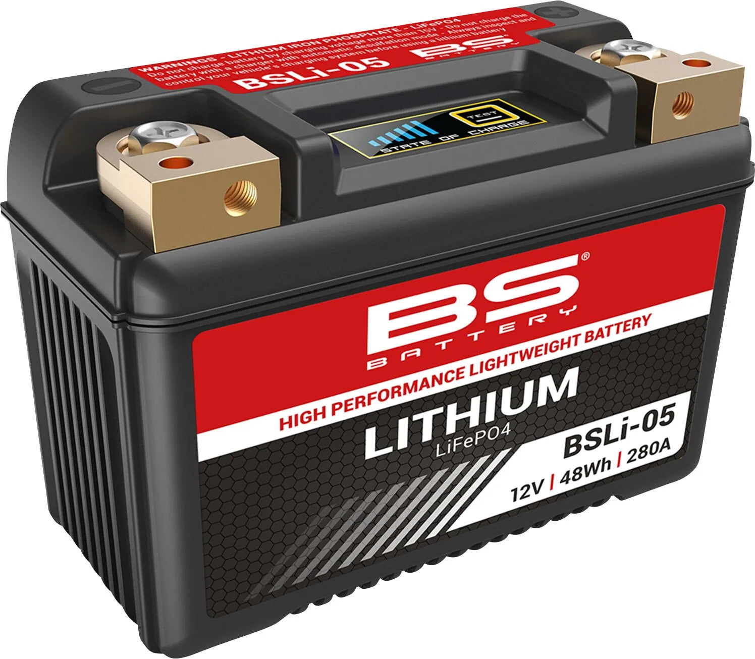 Bs Battery Lithium LiFePO4 Batterie