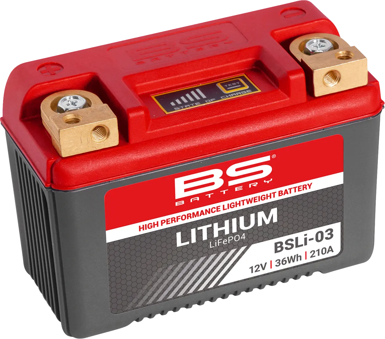 Bs Battery Lithium LiFePO4 Motorradbatterie